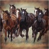 Treasure Gurus Wild Horses Fabric Bath Shower Curtain - Waterproof Bathroom Decor with Wild Horse Theme