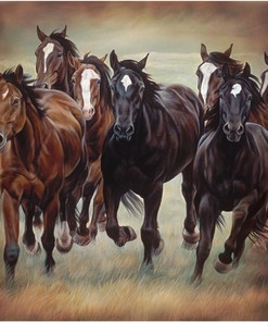 Treasure Gurus Wild Horses Fabric Bath Shower Curtain - Waterproof Bathroom Decor with Wild Horse Theme