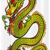 Tricorn Art Dragon Shower Curtain Stall
