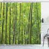 Tropical Bamboo Shower Curtain: Bring The Serenity Of The Tropics To Your Bathroom