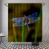 Tropical Custom Dragonfly Shower Curtain For Animal Bath Decor In Your Bathroom
