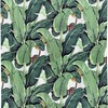 Tropical Green Banana Leaves Printed Shower Curtain for Kids Bathroom Decor