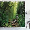 Tropical Rainforest Shower Curtain, Palm Trees And Plants With Wild Nature Theme Illustration