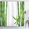 Tropics Plants Greenery Natural Lush Shower Curtain With Branches Of Bamboo Board Stalk Fabric For Bathroom