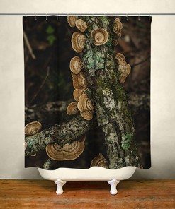 Turkey Tail Mushroom Nature Shower Curtain for a Rustic Bathroom