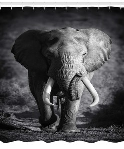 Tusked Elephant Grey Shower Curtain With A Wildlife Print