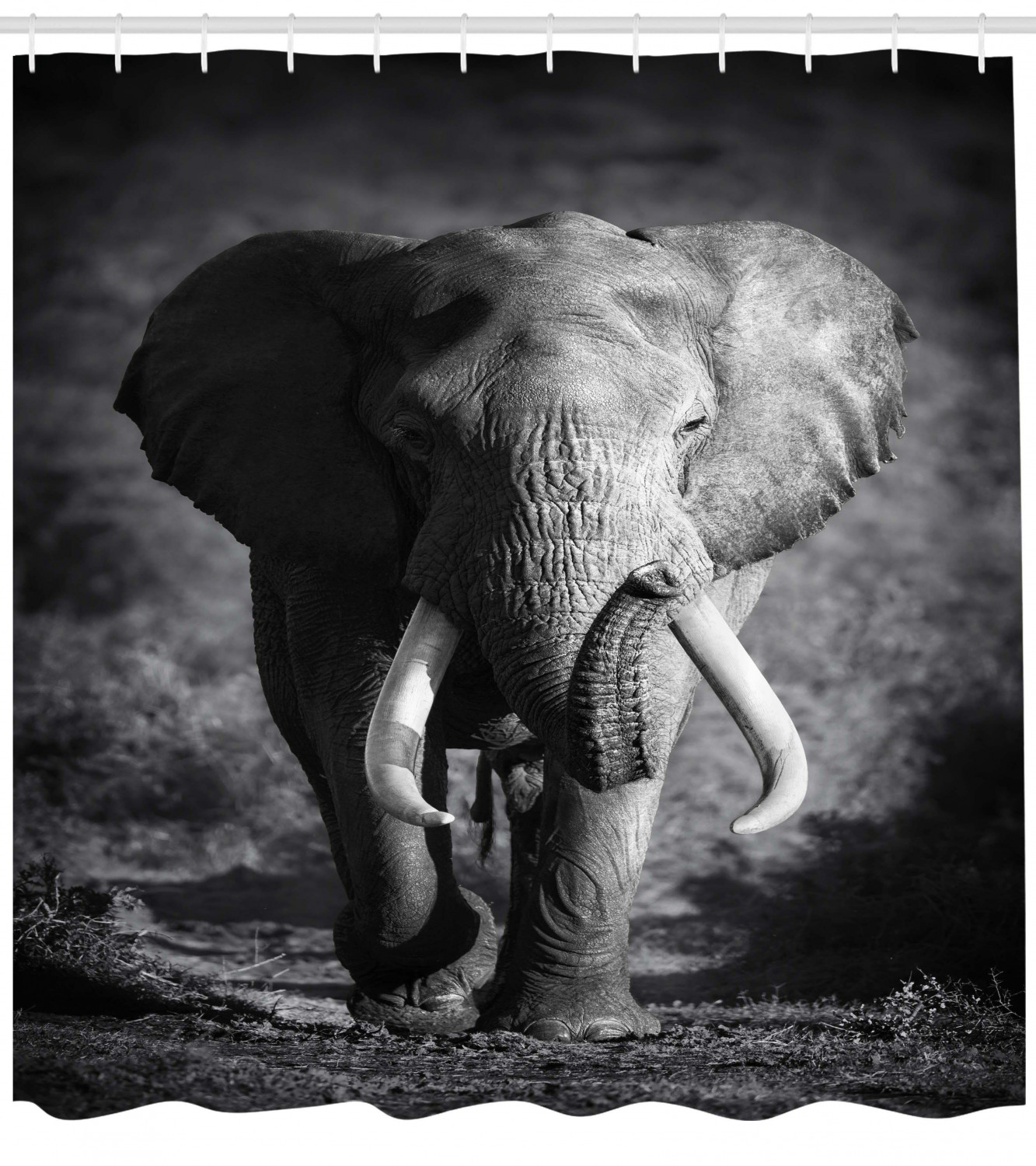 Tusked Elephant Grey Shower Curtain With A Wildlife Print