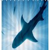 Underwater Creature Art Shower Curtain - Vibrant Sea Life Bathroom Decor