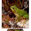 Unique And Fun Frog Waterproof Fabric Shower Curtain - A Perfect Addition To Your Bathroom Decor