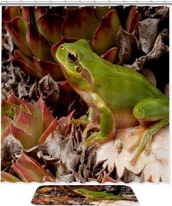 Unique And Fun Frog Waterproof Fabric Shower Curtain - A Perfect Addition To Your Bathroom Decor