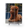 Unique Dog Shower Curtain With Beautiful Design - Francesca Collection