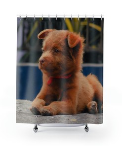 Unique Dog Shower Curtain With Beautiful Design - Francesca Collection