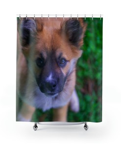 Unique Dog Shower Curtain With Beautiful Design - Gianni Collection