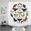 Unique Lepidoptera Insect Shower Curtain For Bathroom Decor