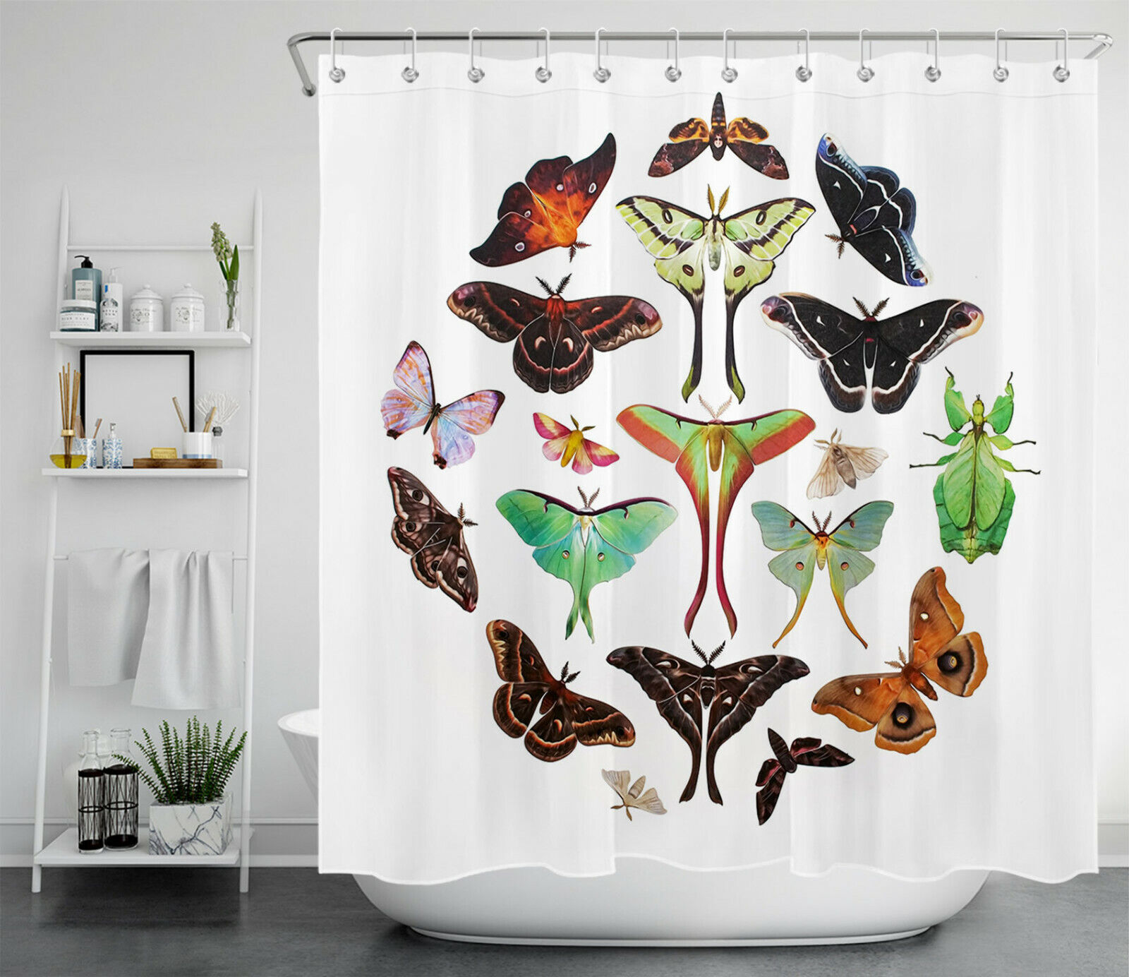 Unique Lepidoptera Insect Shower Curtain For Bathroom Decor - Image 2