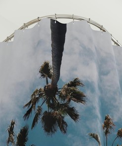 Unique Palm Trees Shower Curtain for Tropical Bathroom Decor