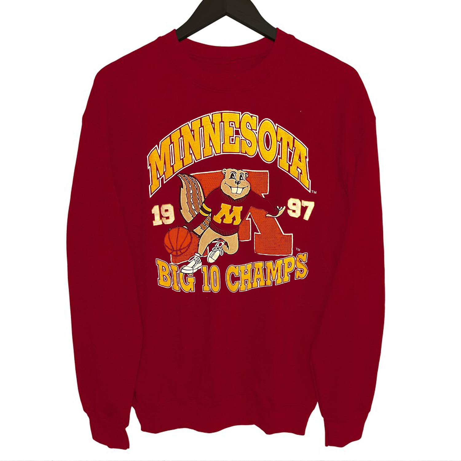 University Of Minnesota Big 10 Basketball Champs T-Shirt - Vintage Style Sweatshirt