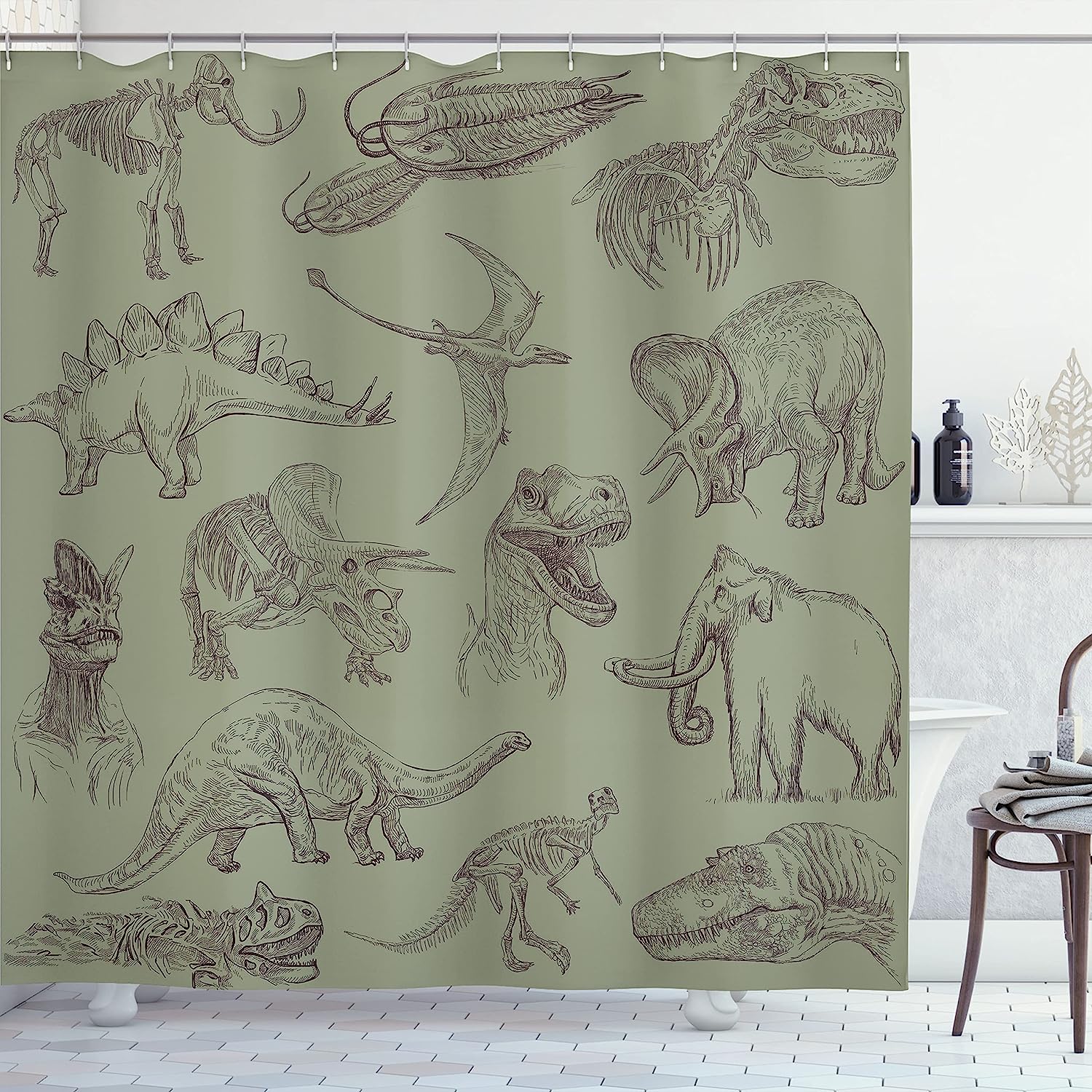 Various Dinosaurs Shower Curtain | Skeleton Illustrations Historic Theme | Cloth Fabric Bathroom Decor (Slate Brown)