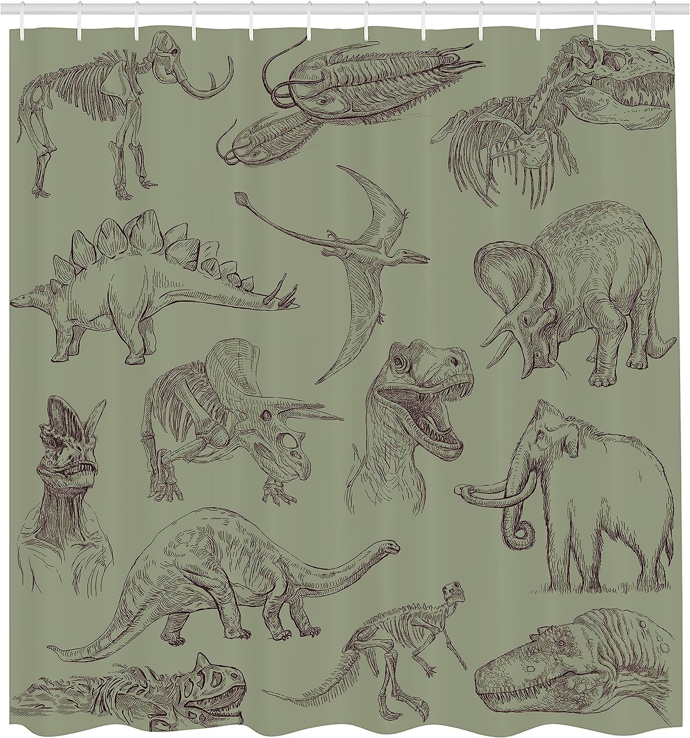 Various Dinosaurs Shower Curtain | Skeleton Illustrations Historic Theme | Cloth Fabric Bathroom Decor (Slate Brown) - Image 2