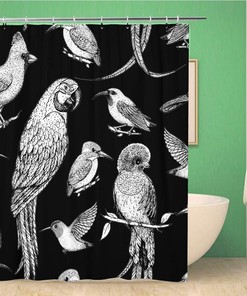 Vibrant Cardinal Bird Shower Curtain with Beautiful Hummingbird and Parrot Design - Waterproof Fabric Bathroom Curtain