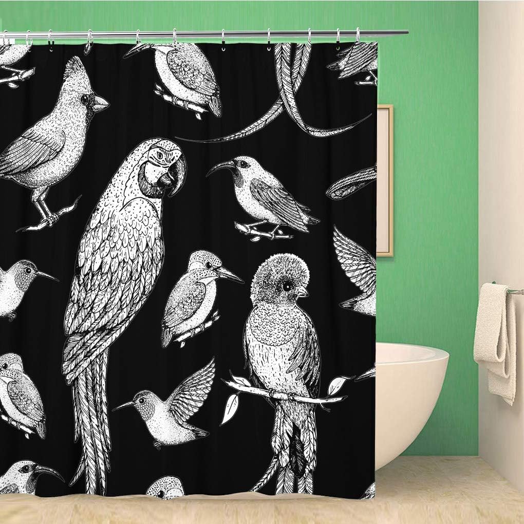 Vibrant Cardinal Bird Shower Curtain with Beautiful Hummingbird and Parrot Design - Waterproof Fabric Bathroom Curtain