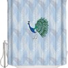 Vibrant Peacock Feathers Shower Curtain Oriental Image Design