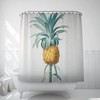 Vintage Ananas Print Botanic Pineapple Illustration Bathroom Decor Shower Curtain