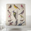 Vintage Bird Art Shower Curtain Inspired By 19Th-Century Illustrations