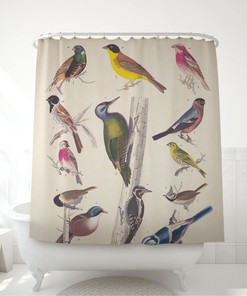 Vintage Bird Art Shower Curtain Inspired By 19Th-Century Illustrations