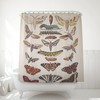 Vintage Botanical Insect Art Butterflies And Insects Shower Curtain For Bathroom