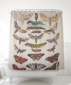 Vintage Botanical Insect Art Butterflies And Insects Shower Curtain For Bathroom
