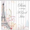 Vintage Paris Abstract Pink Flower Shower Curtain with Gray Eiffel Tower Design, Perfect for European