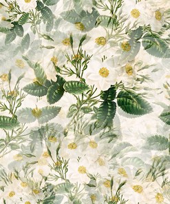 Vintage Rose Print Shower Curtain, Botanical Bathroom Decor with White Background and Geometric Design