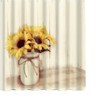 Vintage Style Full Size Blackout Curtain with Helicopter Print for Kids Bathroom