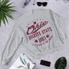 Vintage Style Full Size Ohio Buckeye State Hoodie Sweatshirt Shirt