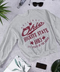 Vintage Style Full Size Ohio Buckeye State Hoodie Sweatshirt Shirt