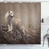 Warm Taupe Wolf Shower Curtain, White Wolf On Rocks At The Night Misty Weather Wildlife Nature Scenery Print