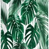 Water Repellent Palm Leaves Shower Curtain In Tropic Monstera Pattern, Hunter Green White
