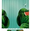 Watermelon Dragonfly Shower Curtain For Summery Bathroom Decor