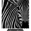 Waterproof Beautiful Zebra Fabric Bathroom Curtain For Shower