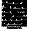 Waterproof Bird On Wire Shower Curtain For Modern Bathroom Decor
