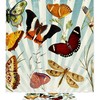Waterproof Dragonflies And Butterflies Fabric Bathroom Curtain