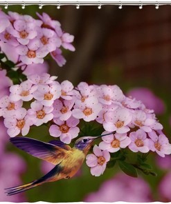 Waterproof Fabric Shower Curtain with Hummingbirds and Flowers for a Bird Lover's Bathroom