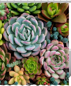 Waterproof Washable Shower Curtain with Succulents Cactus Bathroom Curtain