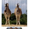 Waterproof Zebra Animal Shower Curtain - Decorative Bathroom Ideas