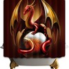 Western Medieval Fantasy Myth Animal Red Dragon Print Shower Curtain for Bathroom Decoration