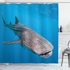 Whale Shark Swimming Predators Hunter Clear Water Under The Sea Picture Print Shower Curtain For Bathroom Decor