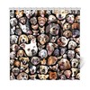 Whimsical Dog Breeds Novelties Shower Curtain - Vivid Photo Reproductions