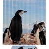 Whimsical Penguin Print Shower Curtain, Decorative Bathroom Curtain