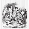 White And Black Alice In Wonderland Shower Curtain With Dodo Animal Adventures Big Bird Sketch Theme